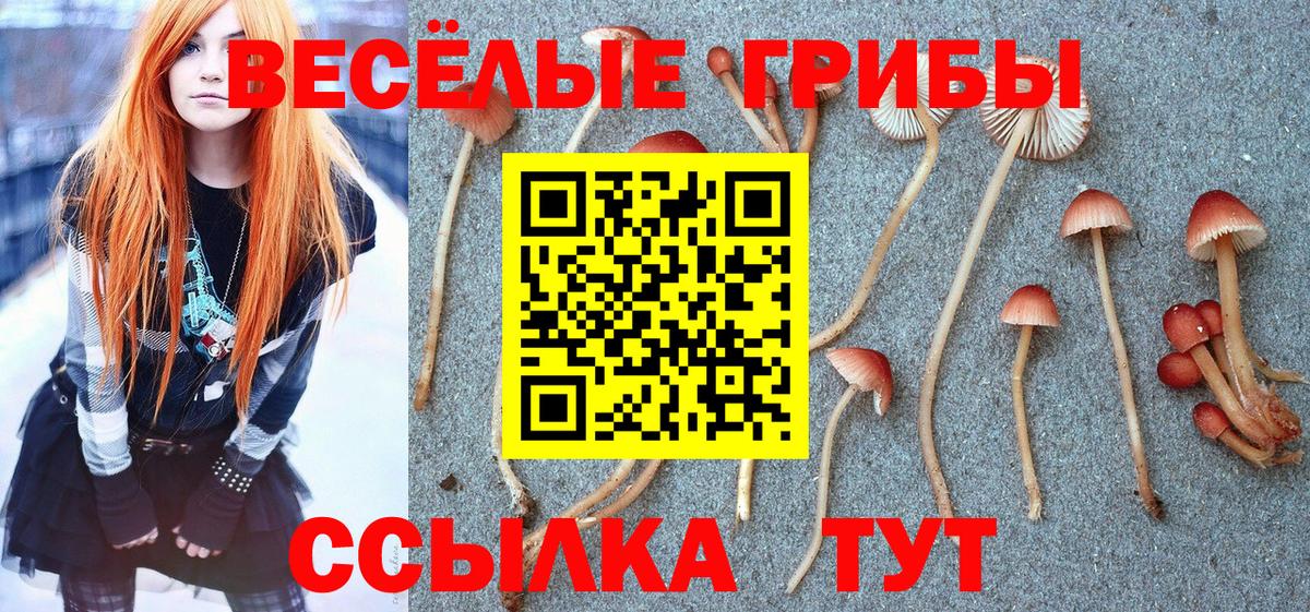 Псилоцибиновые грибы GOLDEN TEACHER Калуга
