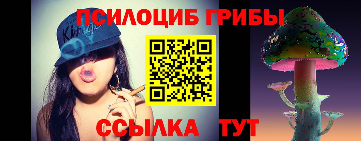 Галлюциногенные грибы мицелий  Псилоцибиновые грибы мицелий  Калуга  Вход с VPN 